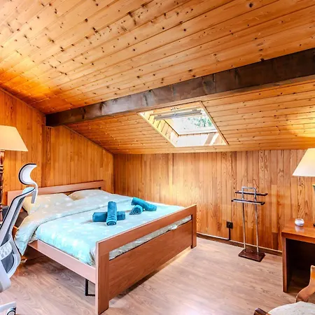 Agreable Chalet, Vue Panoramique Sur La Leman Chalet